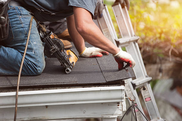 Best Storm Damage Roof Repair  in Lockport Heights, IL